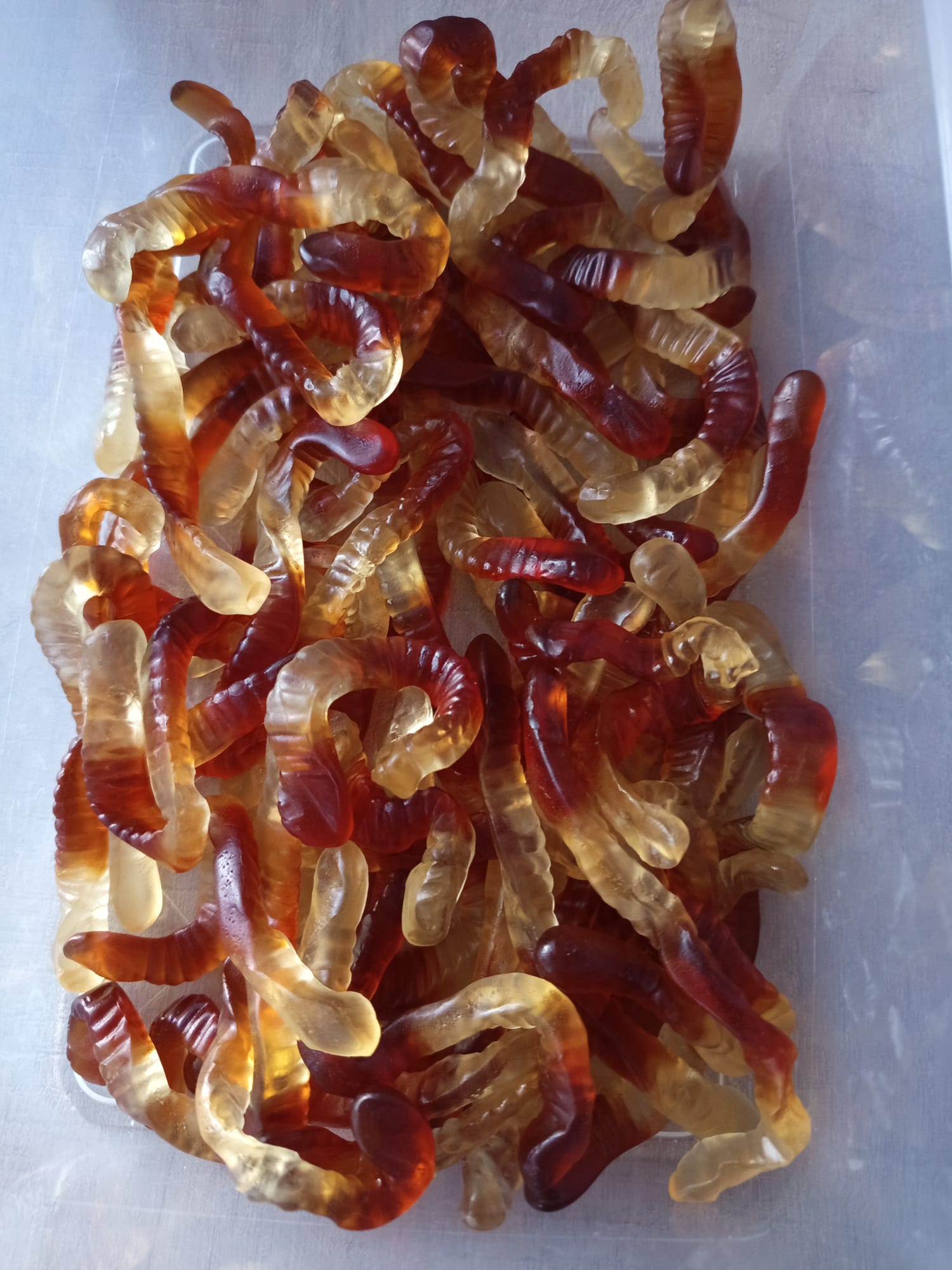 Vers cola damel halal ( 100g )